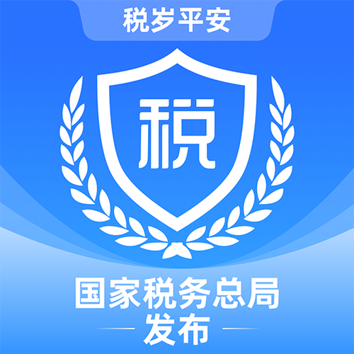 湖南电子税务局app官方下载游戏截图