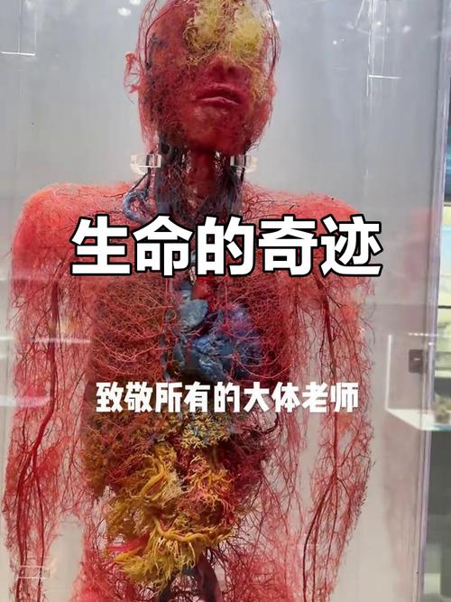 体积重计算器图标