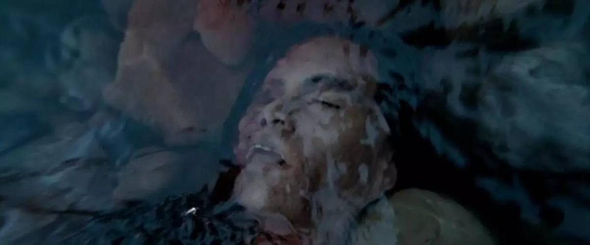 荒野之行未删减版电影