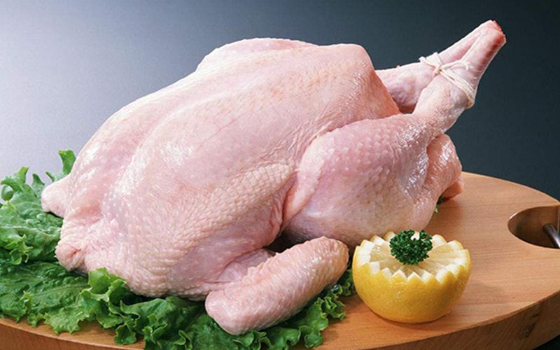 孕妇可以经常吃鸡肉吗游戏截图