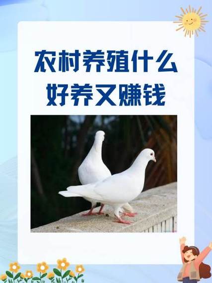 养殖什么好养又赚钱缩略图