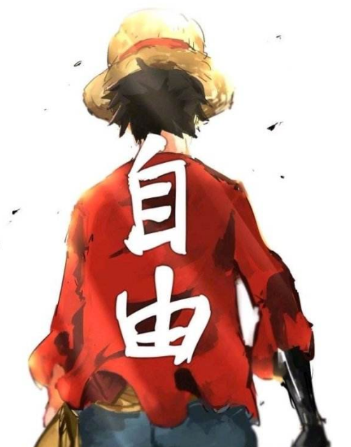 海贼王精神缩略图
