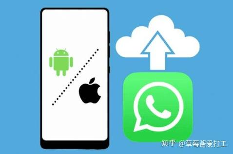 whatsapp安卓版本下载缩略图