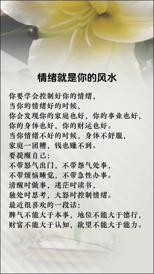 赋予你能量的语言游戏截图