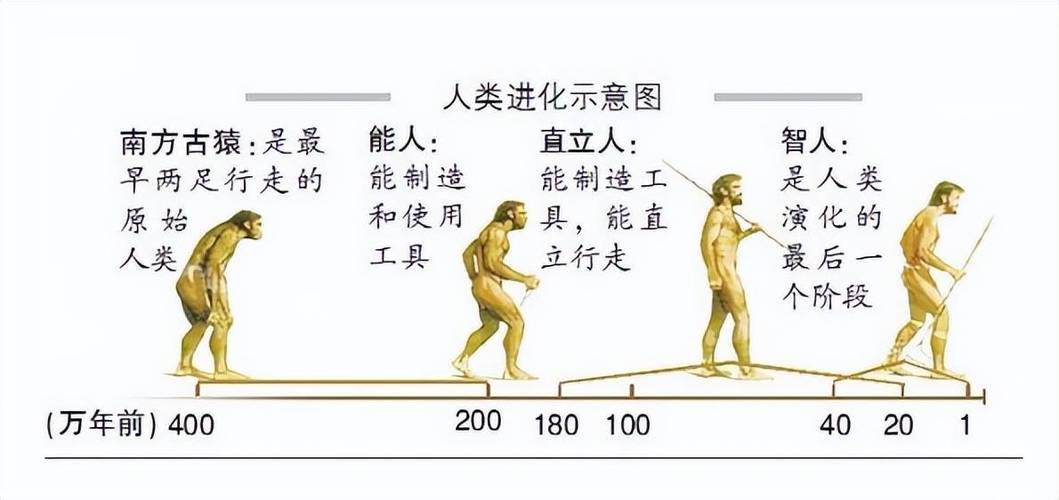 原始人是怎么变成人类的