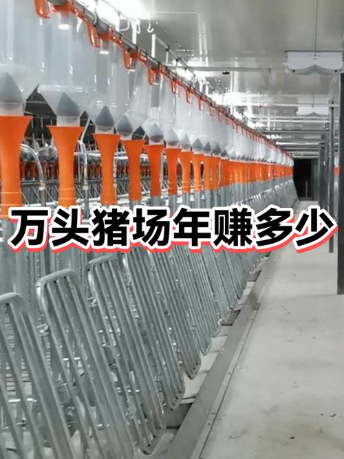 养猪多少头一年赚20万缩略图