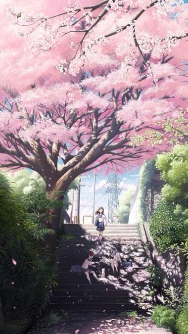 悠悠哉哉樱花动漫完整版缩略图