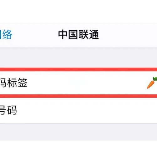 苹果11支持双卡双待怎么用缩略图