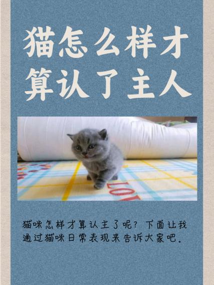 小猫一般几天认主人缩略图