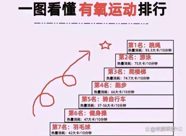 有氧耐力和无氧耐力区别缩略图