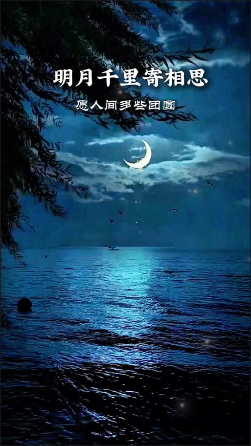 月光孤影的诗句有哪些缩略图