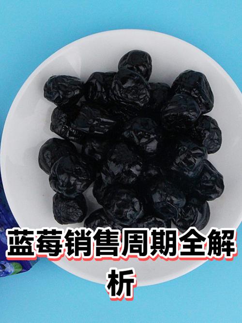蓝莓销售话术100句缩略图