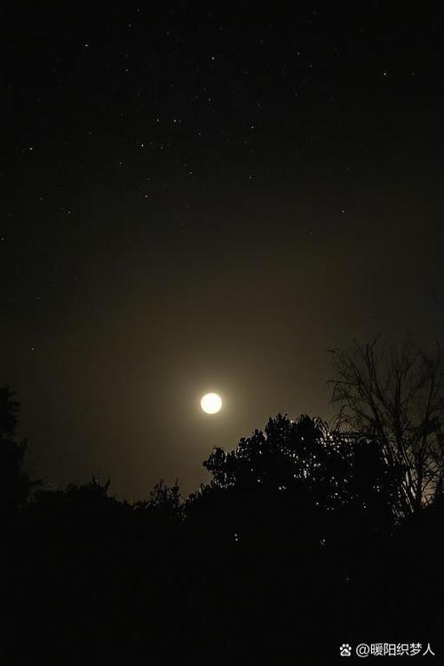 圆月之夜缩略图