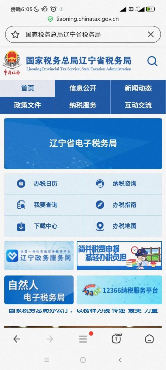 国家税务局辽宁省电子税务局(官网)游戏截图