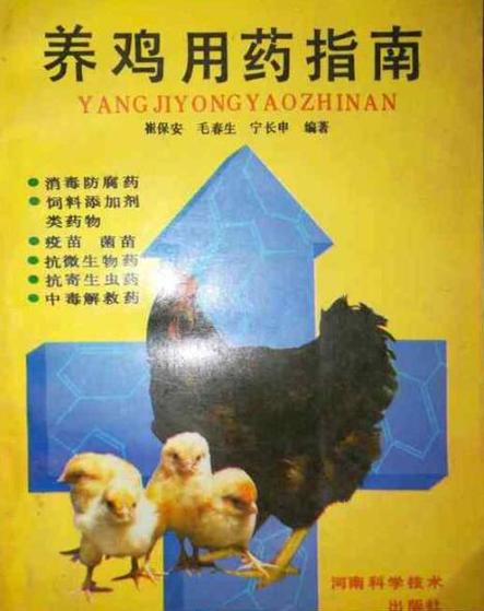 鸡鹰多少钱一只缩略图