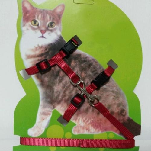 猫牵引绳怎么戴缩略图