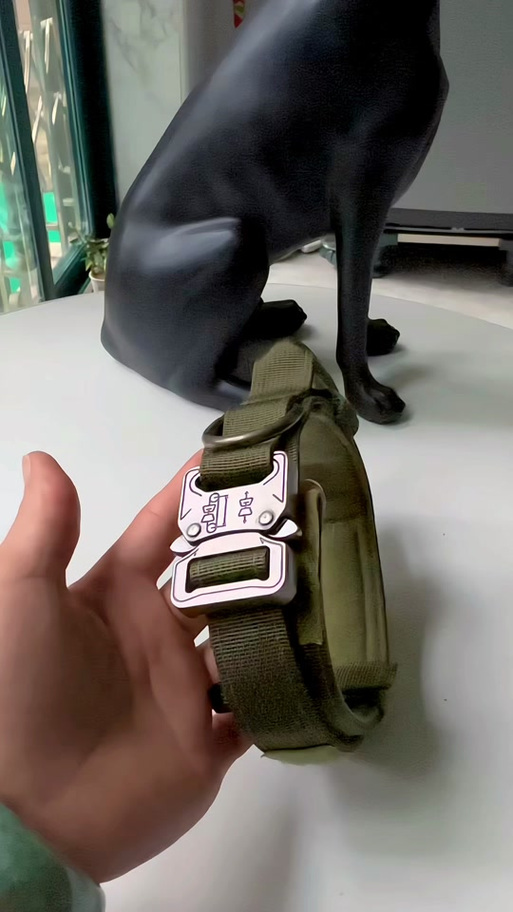 项圈m款牵引绳缩略图