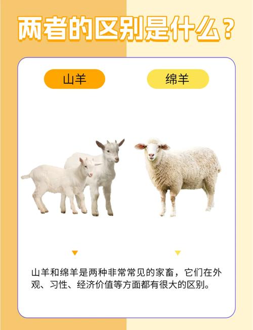 山羊绵羊哪种利润大游戏截图