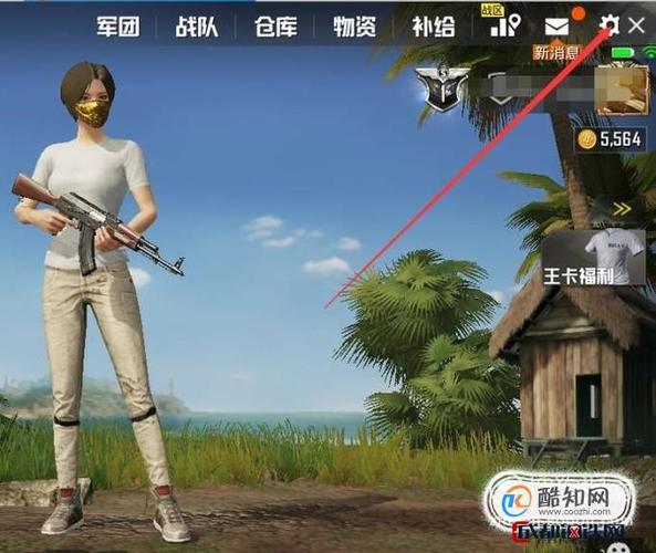 吃鸡颜色怎么调缩略图
