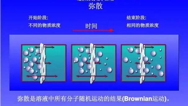 探究微粒运动的实验缩略图