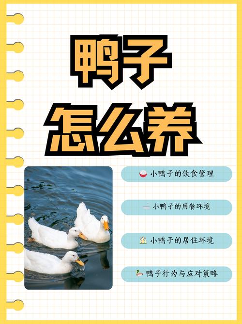 趣养鸭推荐人缩略图