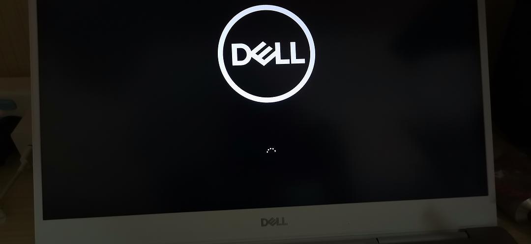 戴尔开机不显示logo游戏截图