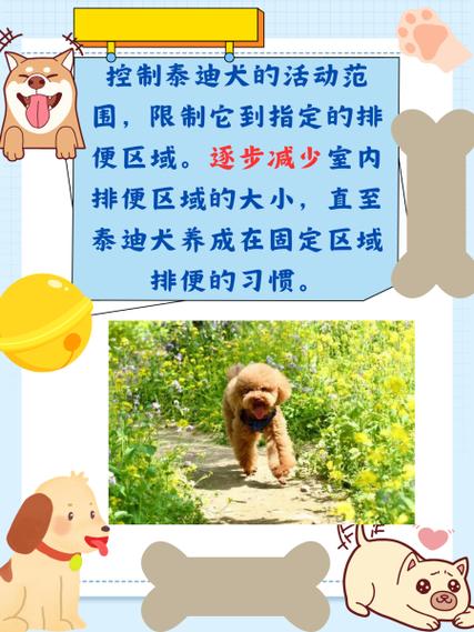 狗狗大小便的训练方法游戏截图