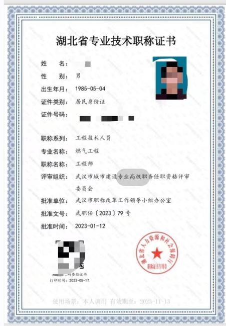 查询职称证书游戏截图