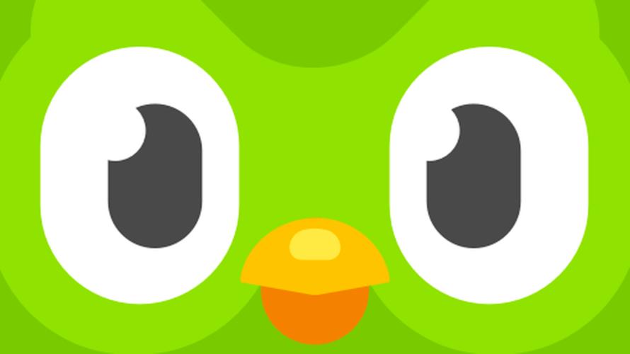 猫头鹰app官网游戏截图