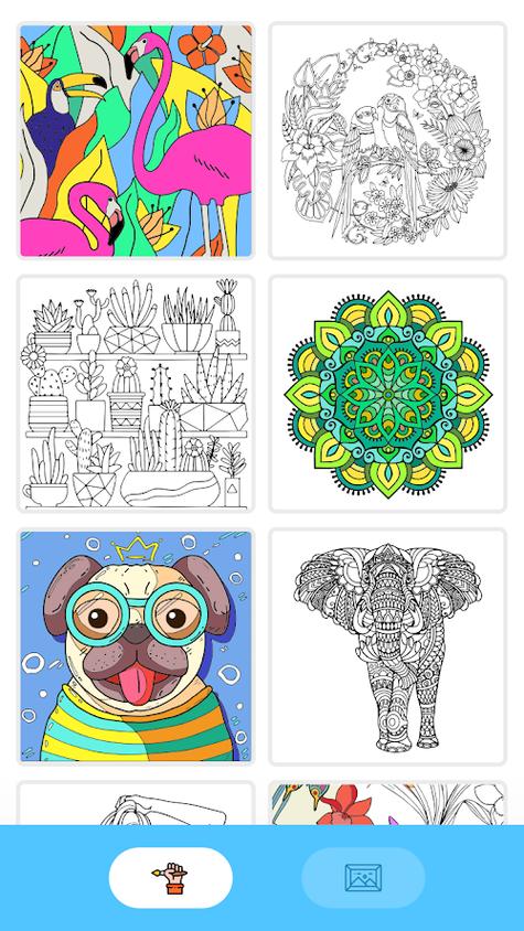 paintly数字填色无广告版缩略图