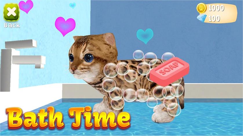 猫咪模拟器无限金币版游戏截图