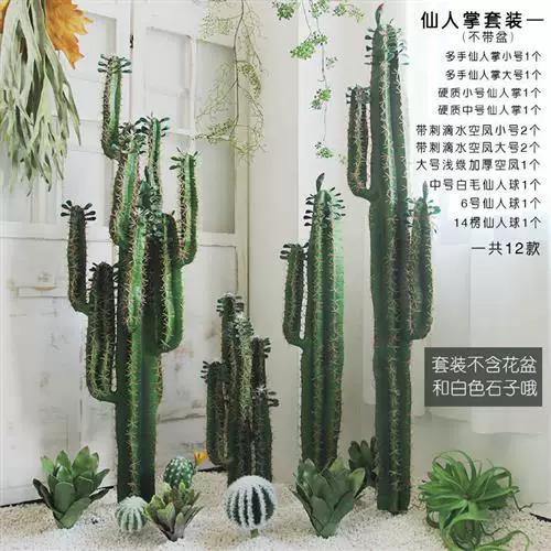 ins账号购买价格缩略图