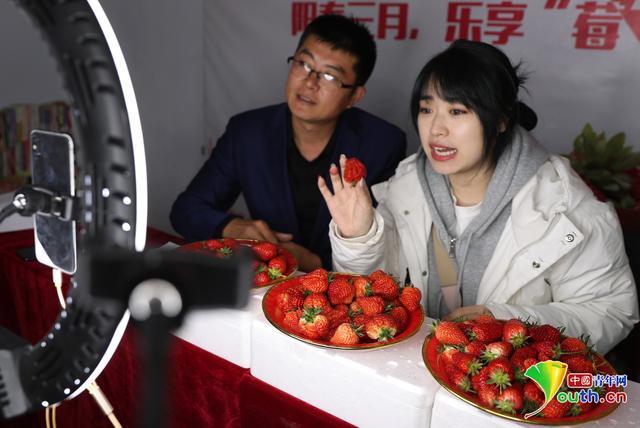 小草莓直播链接缩略图