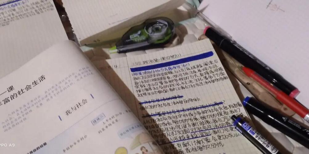 真实政治1.6游戏截图