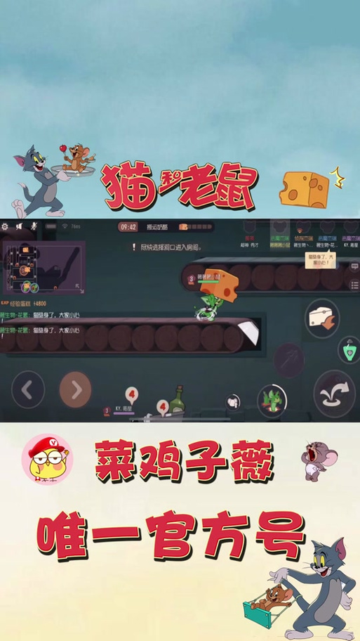 菜鸡子薇的真名缩略图