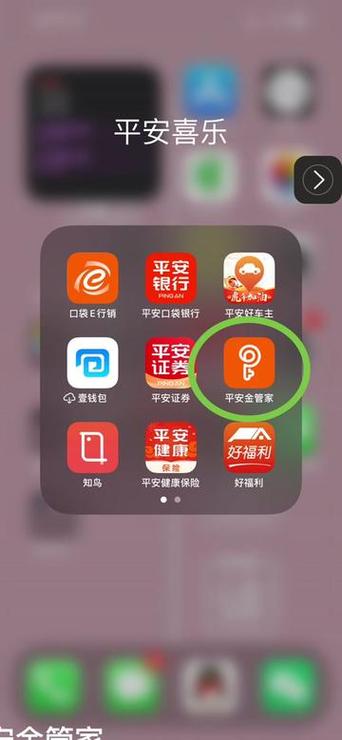 平安金管家官方免费下载安装缩略图