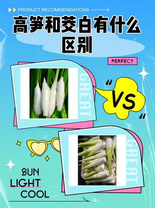 dingtalk和钉钉的区别缩略图