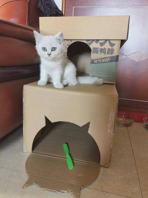 各种猫窝自制教程缩略图