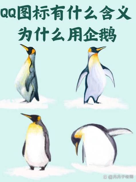 企鹅什么意思网络语缩略图