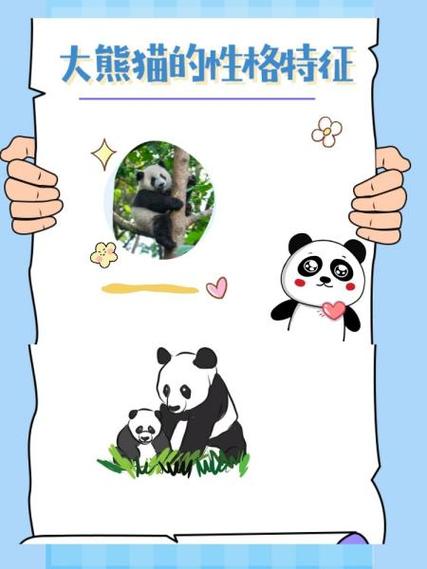 熊猫搜书txt官网入口缩略图
