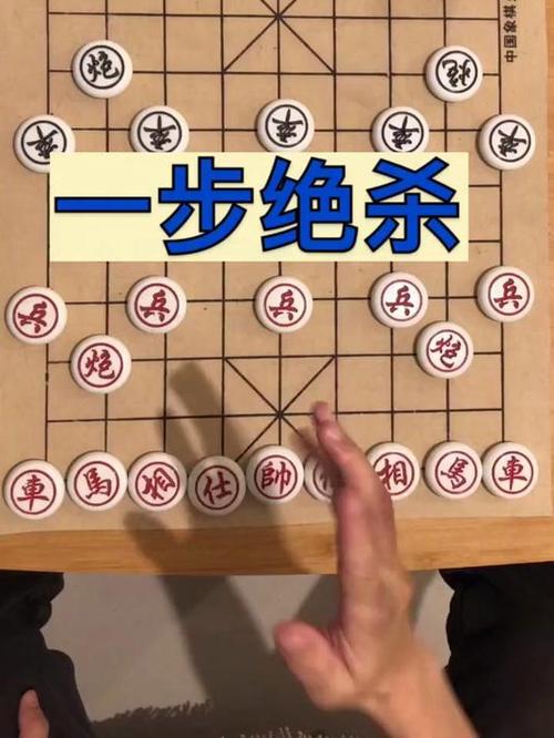 国际象棋一步杀王游戏截图