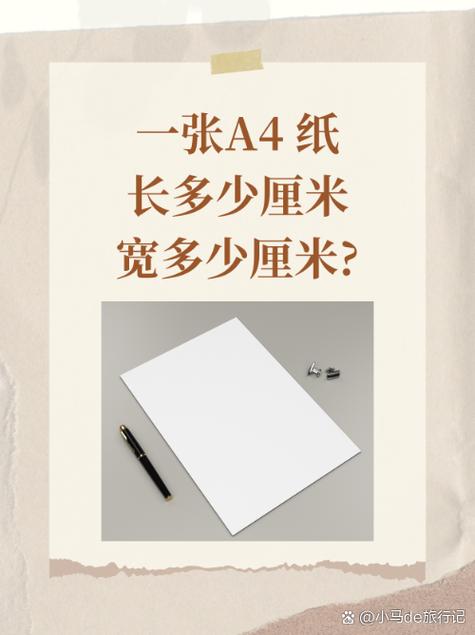 A4纸尺寸是多少缩略图