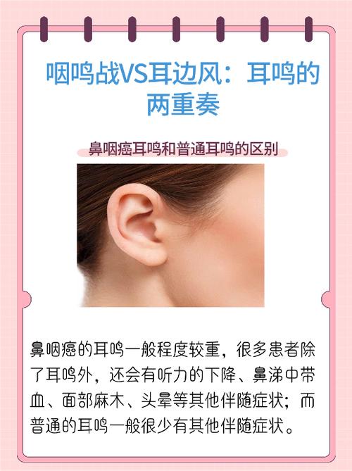 风吹耳鸣是什么原因引起的游戏截图