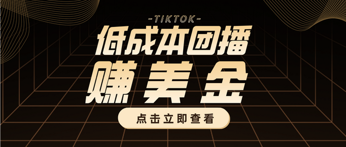 国外点击广告赚美金游戏截图