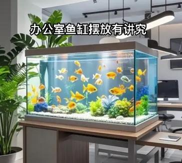 鱼缸空着有讲究吗缩略图