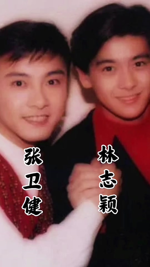 林志颖真真假假国语缩略图