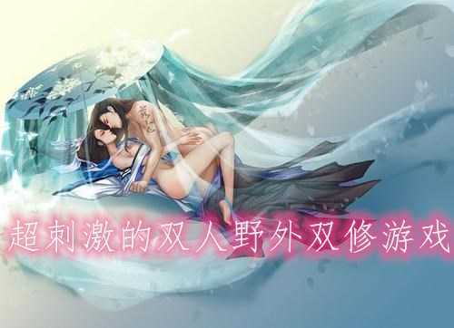 双人游戏一人一半屏幕缩略图