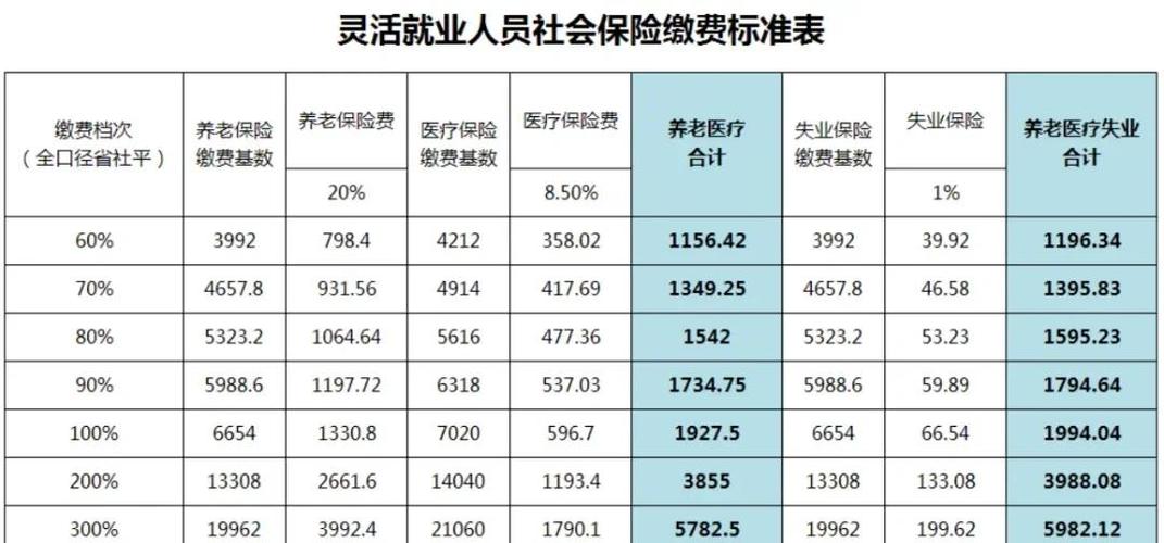 灵活就业人员社保缴费游戏截图