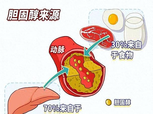 吃什么降脂肪最快缩略图