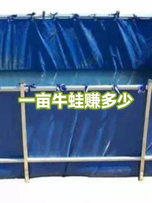 一亩牛蛙养殖利润缩略图